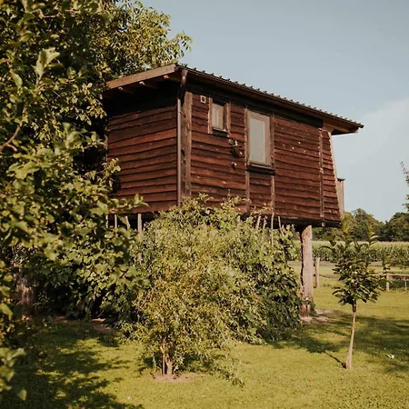 Treehouse Drevesna Hiska Strkovo Gnezdo Ranc Jures Hotel Ljutomer Exterior photo