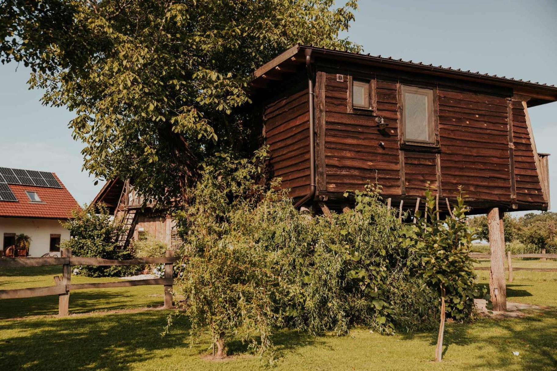 Treehouse Drevesna Hiska Strkovo Gnezdo Ranc Jures * Ljutomer